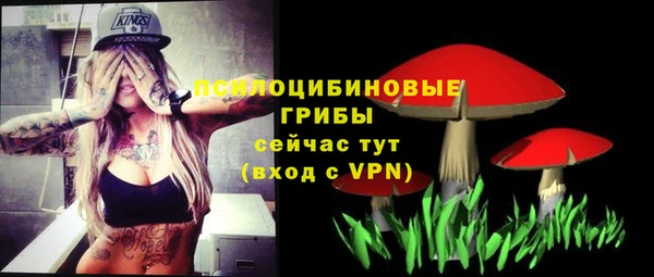 a pvp Зеленокумск