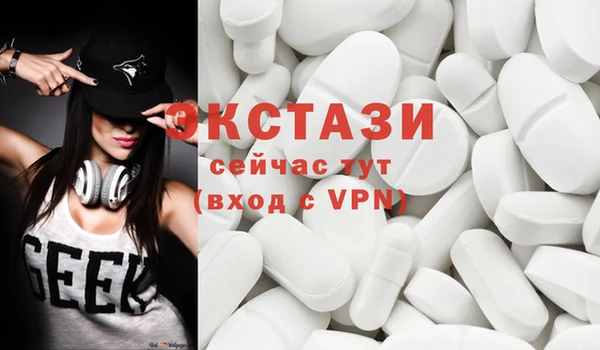 крисы Щигры