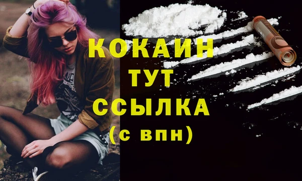 PSILOCYBIN Зеленодольск