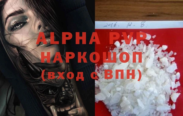 PSILOCYBIN Зеленодольск