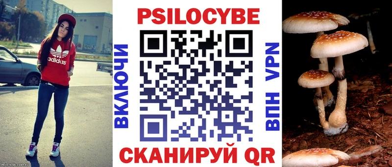 Псилоцибиновые грибы прущие грибы  Купить где  Нюрба 