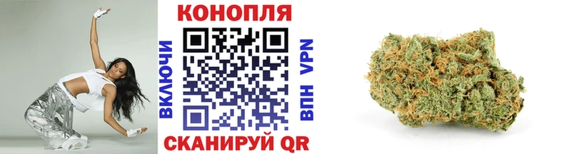 Купить  Нюрба  Конопля MAZAR 